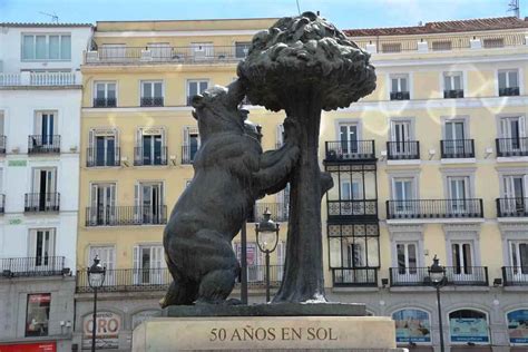 hay osos en madrid|¿Por qué son el oso y el madroño los símbolos de。